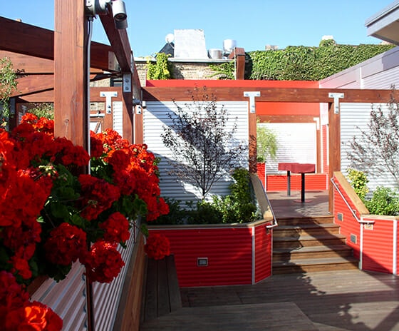 Deck Bar, Featured Image, View of deck and stairs
